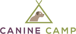 Canine Camp
