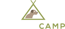 Canine Camp