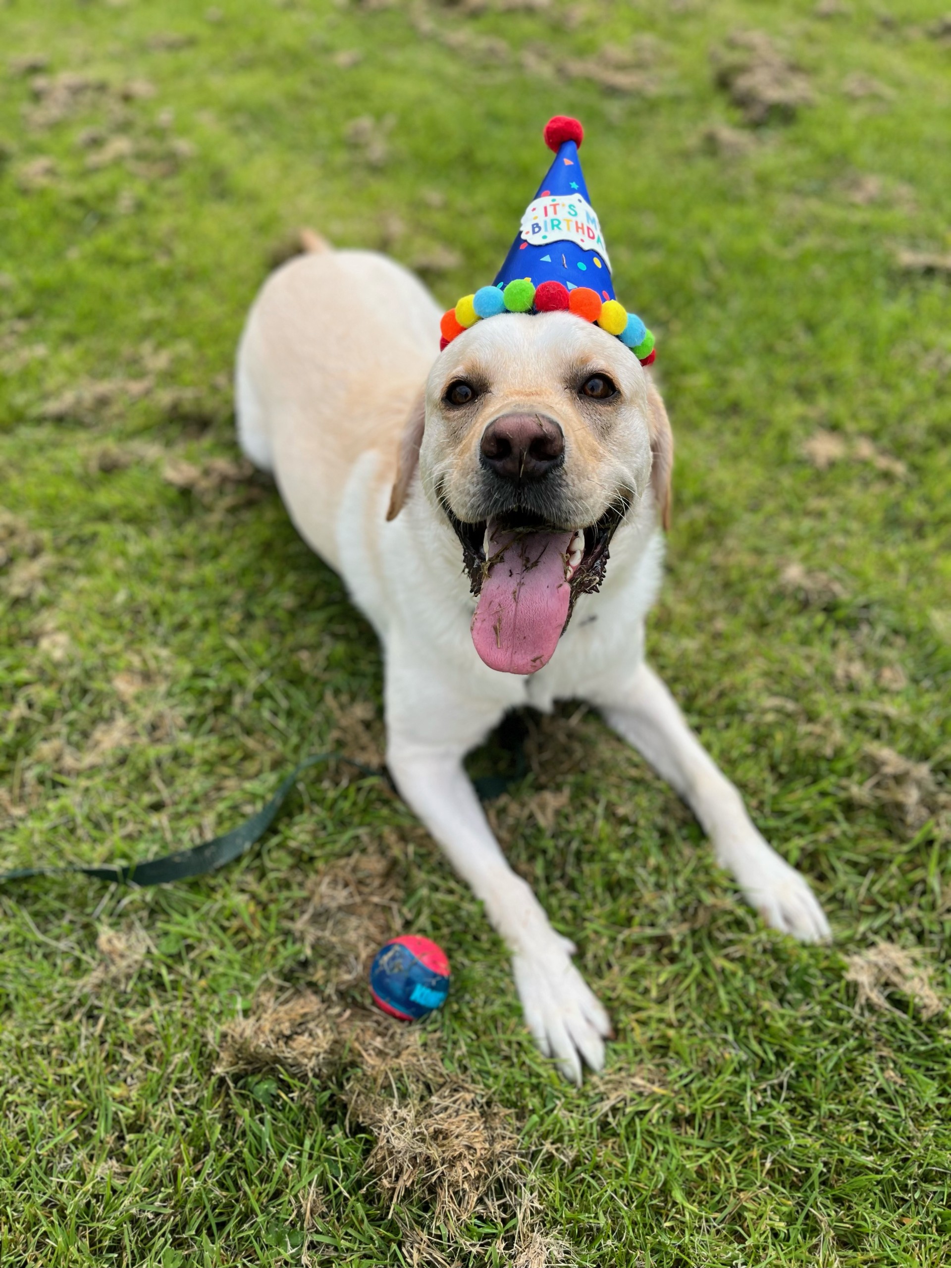 Birthday Package