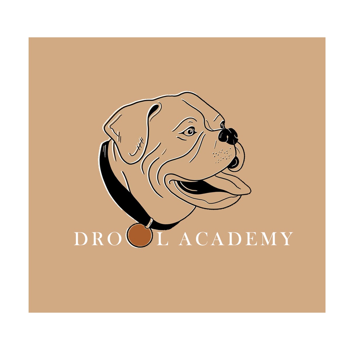 Drool Academy 